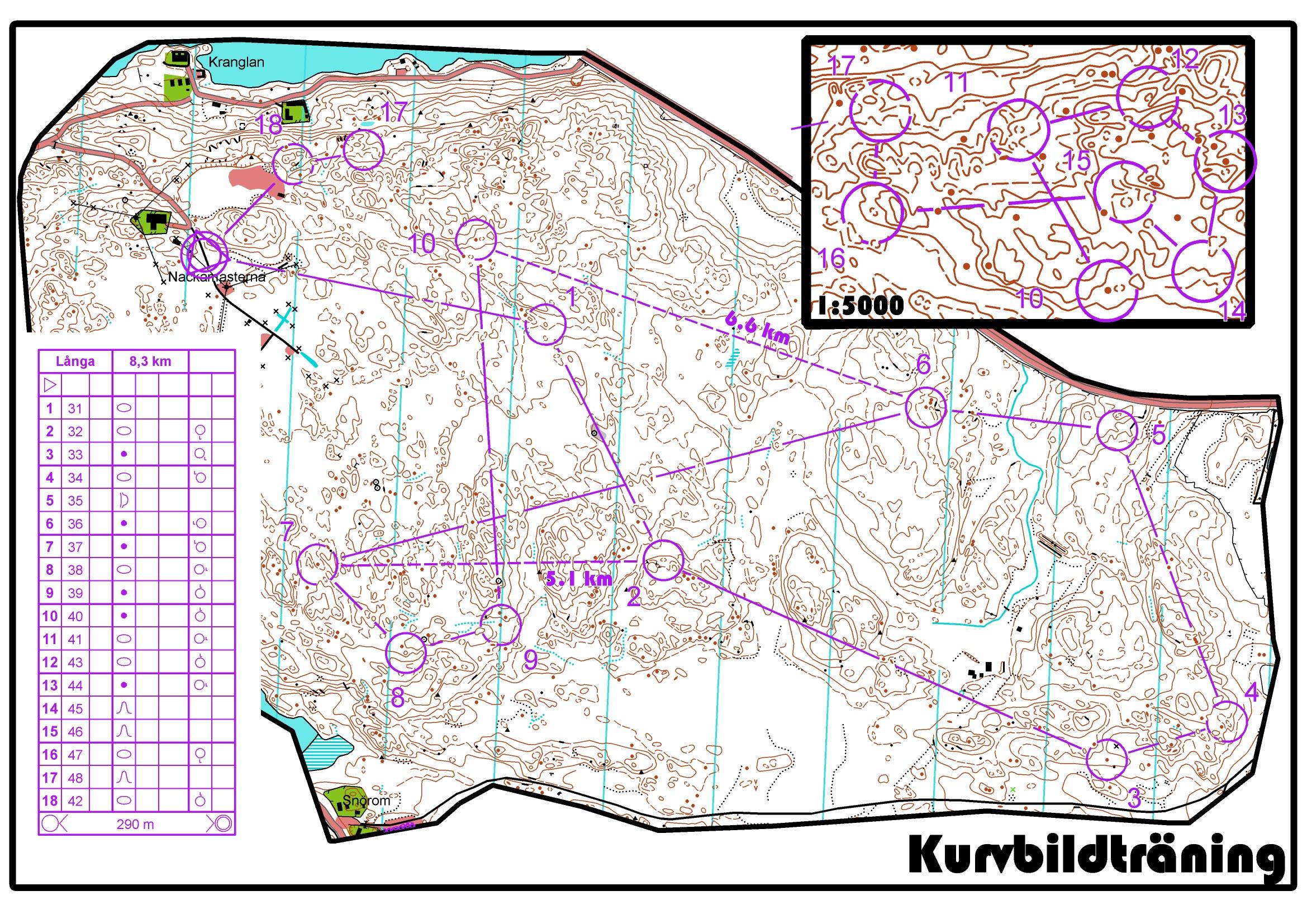 Kurvbildträning (2018-10-17)
