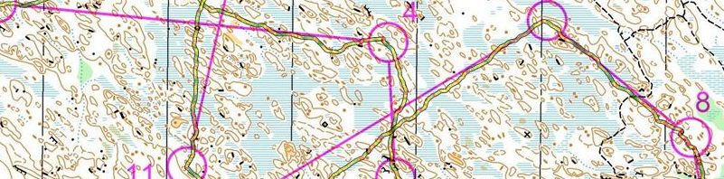 Uppsala träningshelg - Medel Tjäderleksbergen