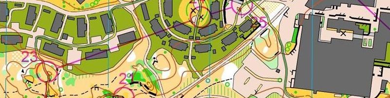 Uppsala träningshelg - Sprintintervaller