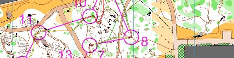 Uppsala träningshelg - Ultrasprint kval Blodan