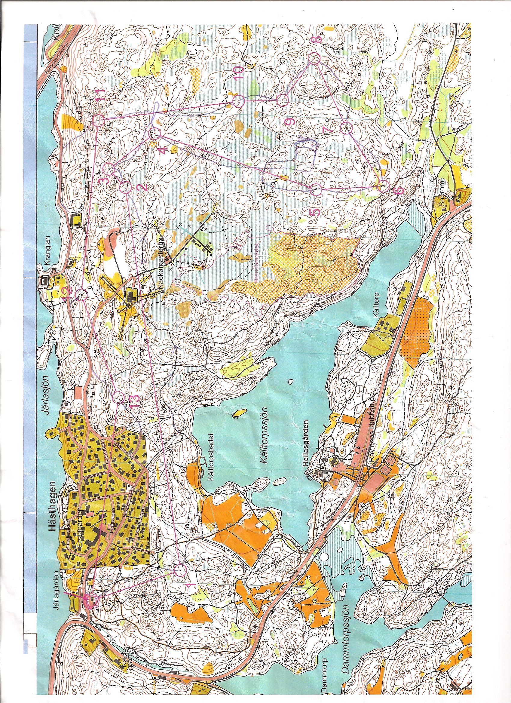 Skinkloppet (2009-12-14)