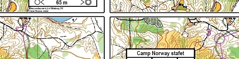 J-landslagsläger Danmark OL-intervaller