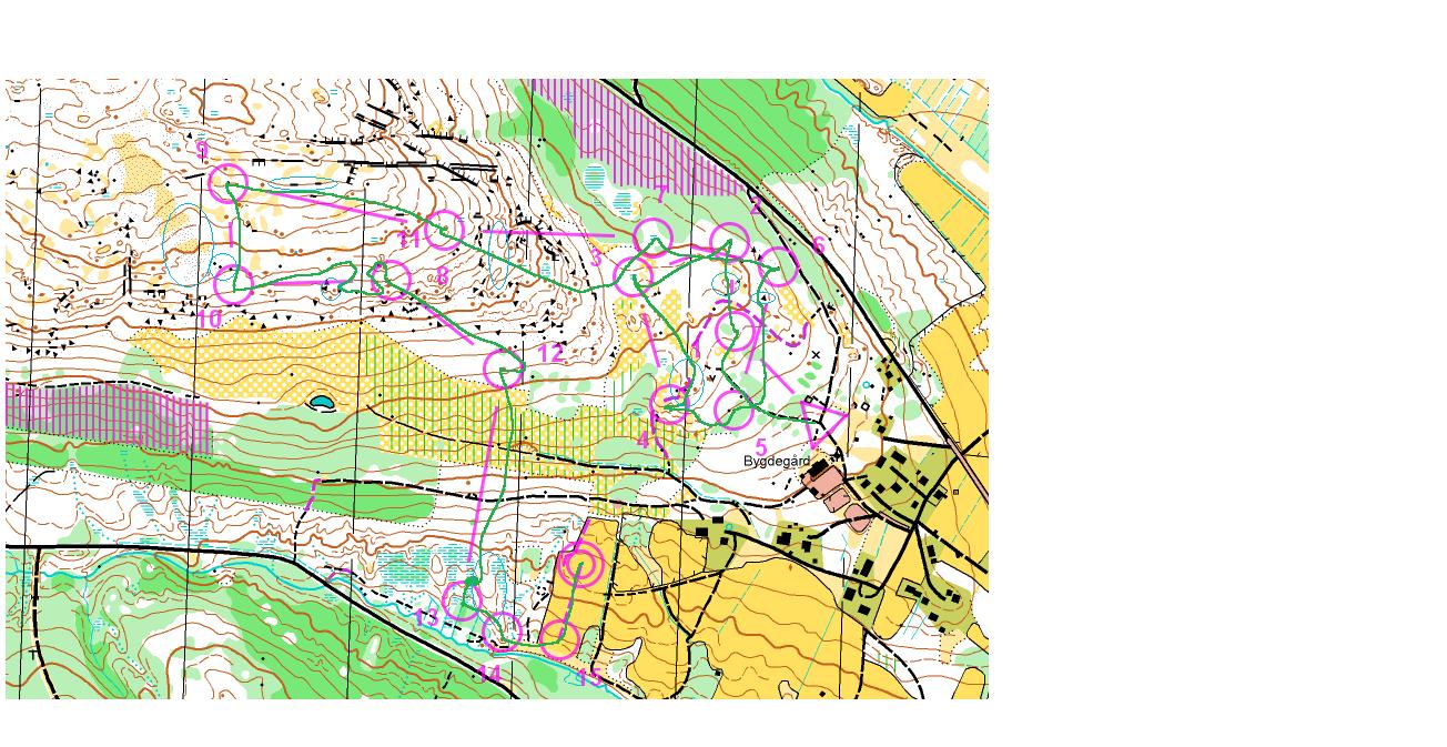 Bussbyloppet (31-05-2010)