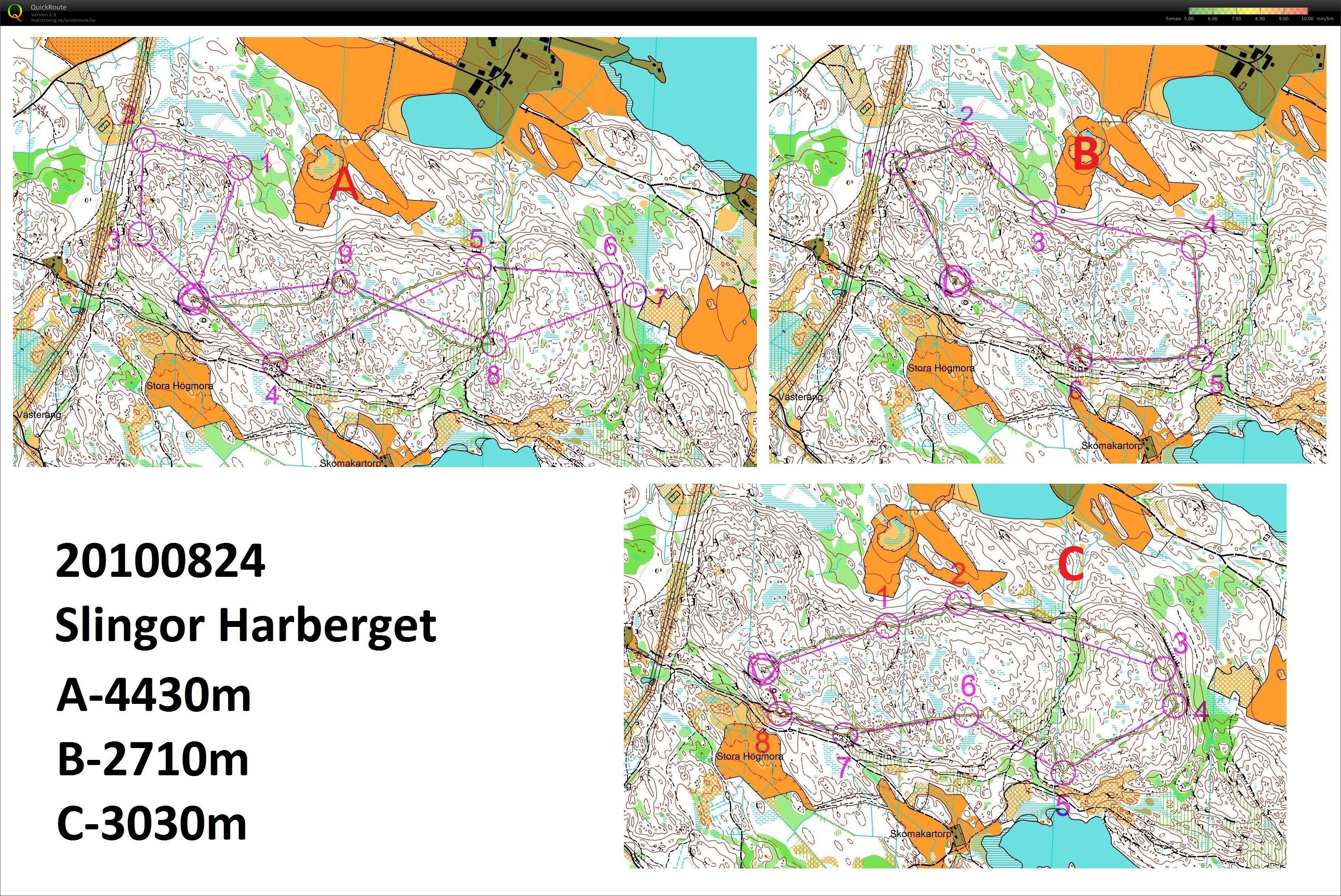 SluttningsOL - slingor (2010-08-24)