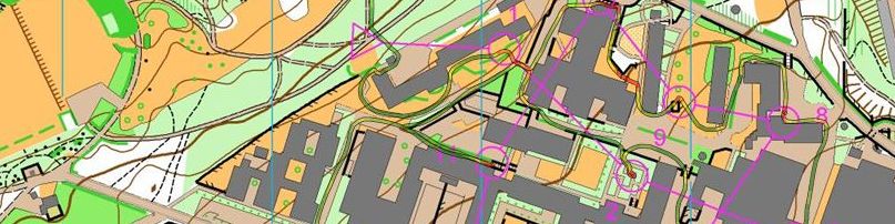 Öppet JVM-läger Danmark Sprint Final