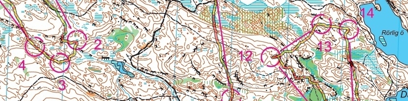 Testlöpning Skol-SM