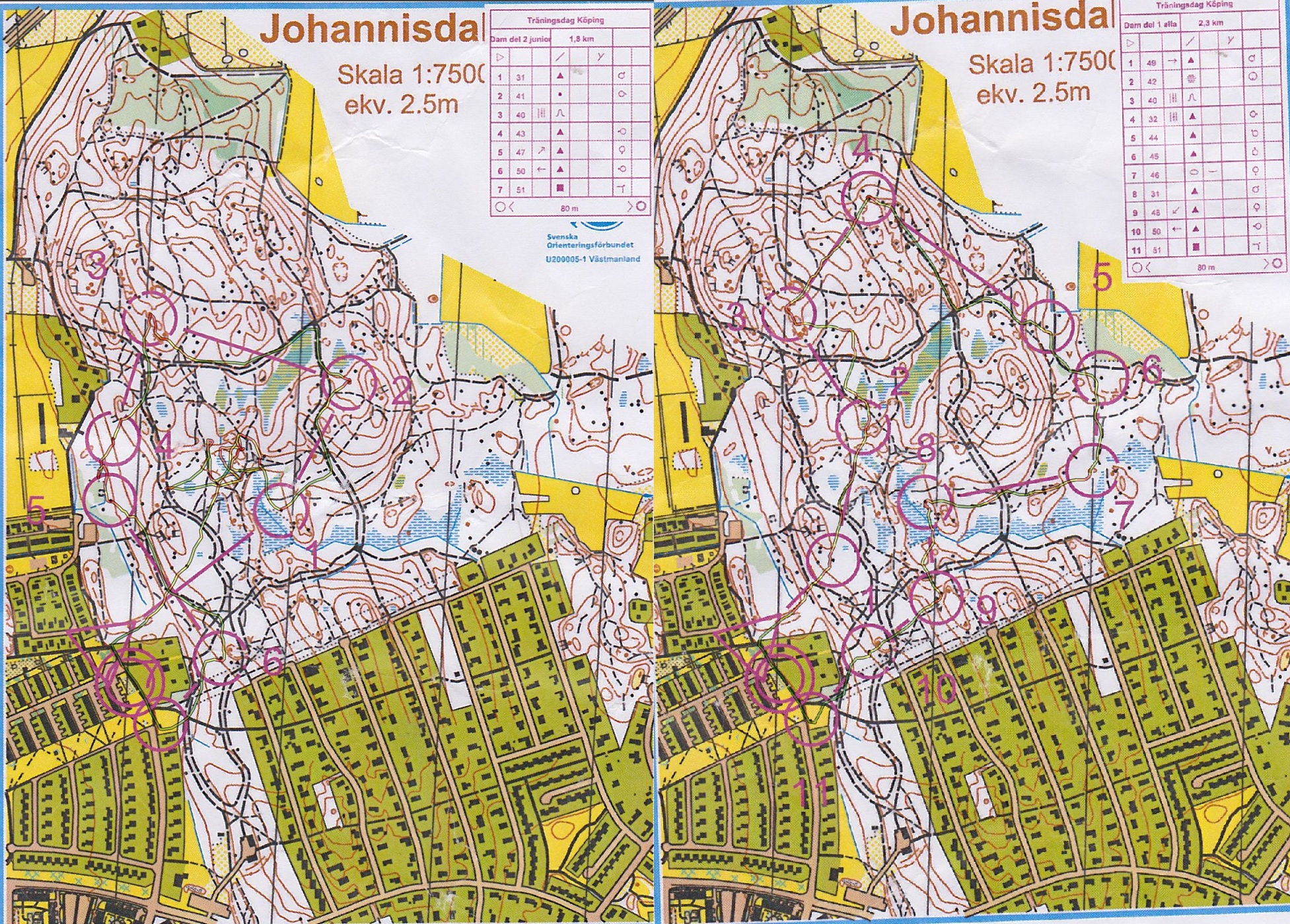 Träningdag i Köping/Västerås (18-10-2010)