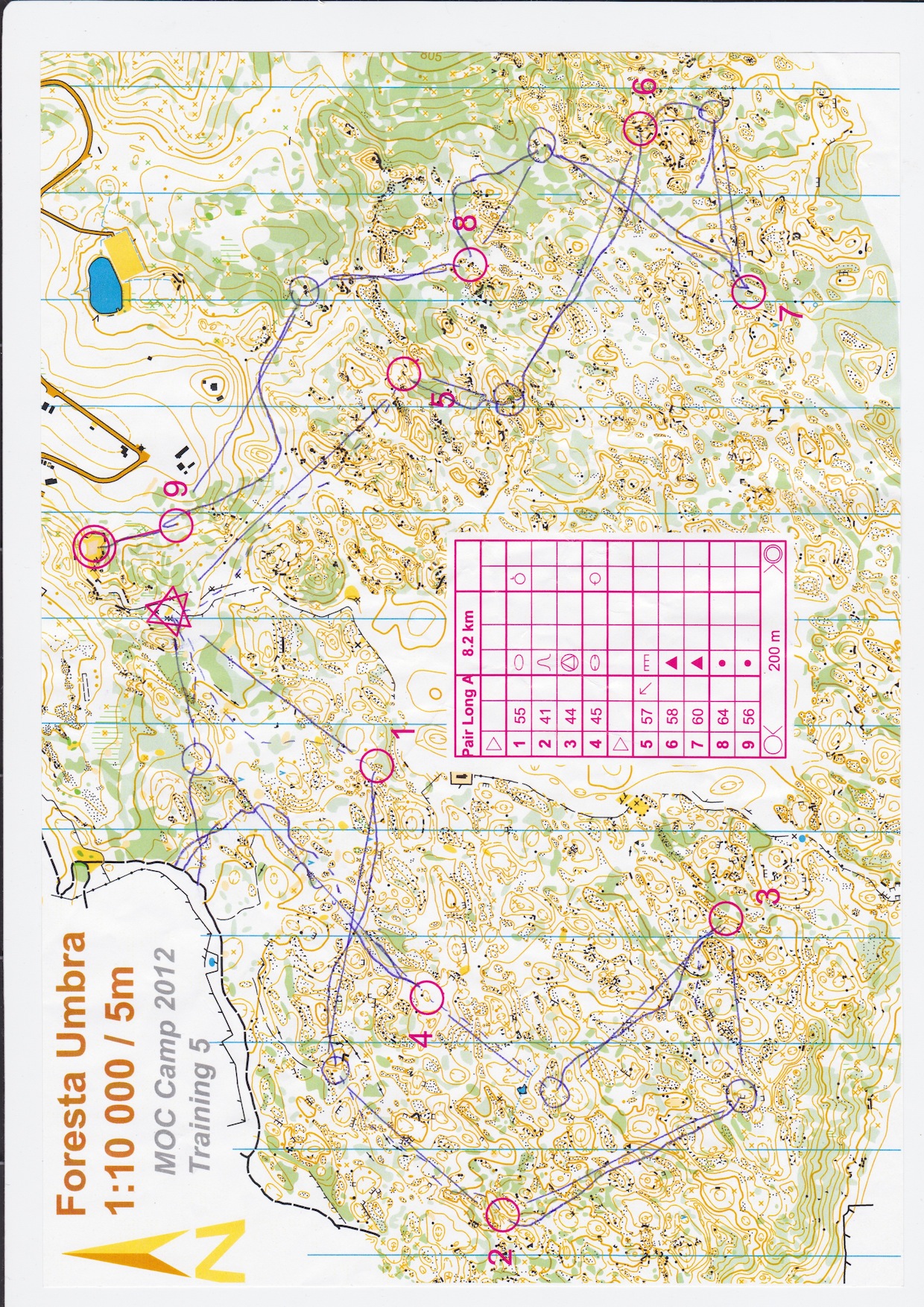 Forenkling i Forresta Umbra (20-03-2012)